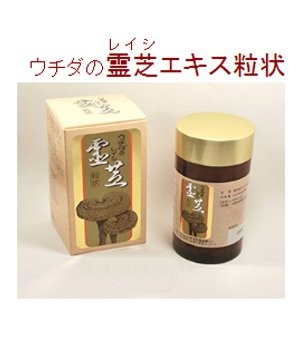霊芝画像